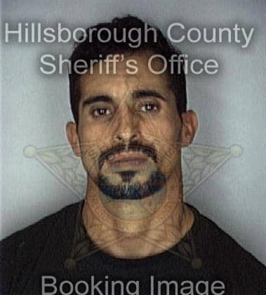 Christopher New, - Hillsborough County, FL 