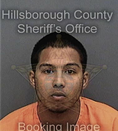 Christopher Poznanski, - Hillsborough County, FL 