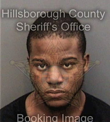 Joshua Ryals, - Hillsborough County, FL 