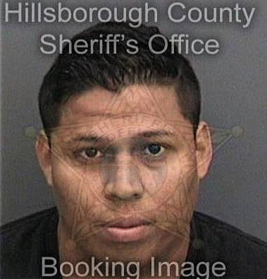 Kyle Smith, - Hillsborough County, FL 