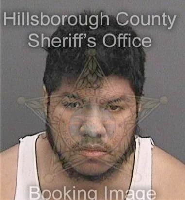 Alejandro Villeda, - Hillsborough County, FL 