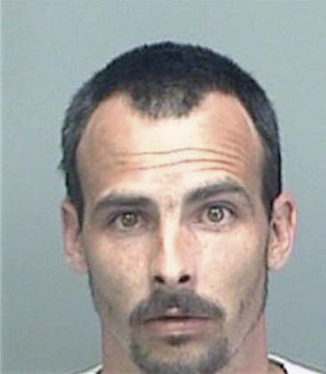 Dante Acquarolo, - Pinellas County, FL 