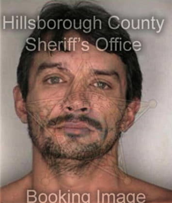 Steven Bieringer - Hillsborough County, FL 