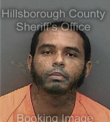 Cedric Dewberry, - Hillsborough County, FL 