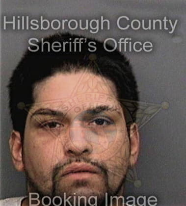 Jeremy Driver, - Hillsborough County, FL 