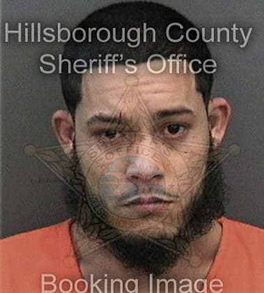 Alexander Fernandezvaldes, - Hillsborough County, FL 