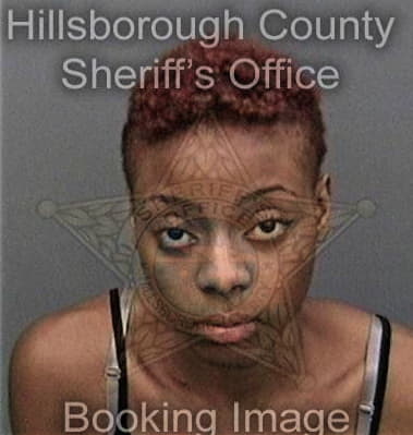 Tiffany Johnson, - Hillsborough County, FL 