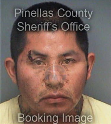 Jovhan Perez, - Pinellas County, FL 