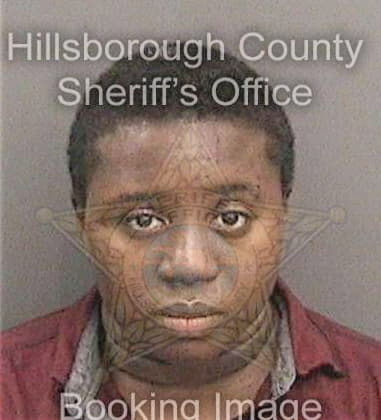 Tiffany Andrews, - Hillsborough County, FL 