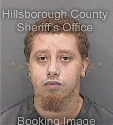 Ryan Lannom, - Hillsborough County, FL 