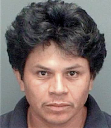 Graciano Arguellesruiz, - Pinellas County, FL 