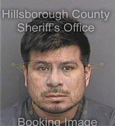 Miguel Maisonet, - Hillsborough County, FL 