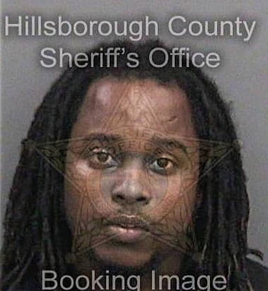 Ramando McMillion - Hillsborough County, FL 