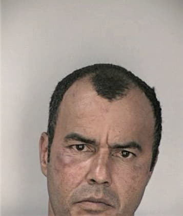 Daniel Michael - Hillsborough County, FL 