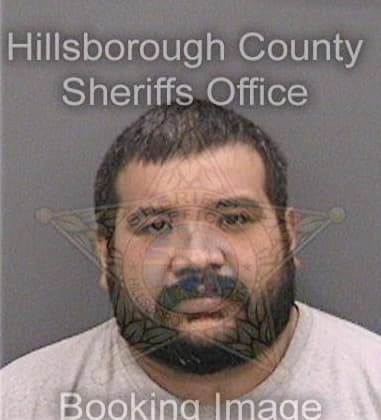 Franklin Velazquezargueta, - Hillsborough County, FL 