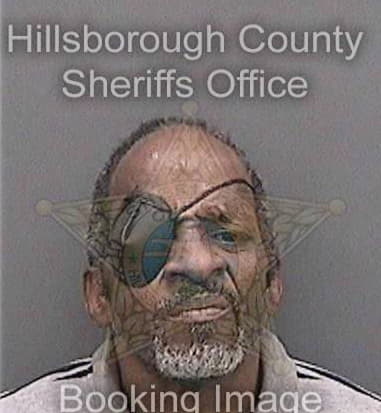 Verntron White - Hillsborough County, FL 