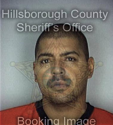 Jonathan Abel, - Hillsborough County, FL 