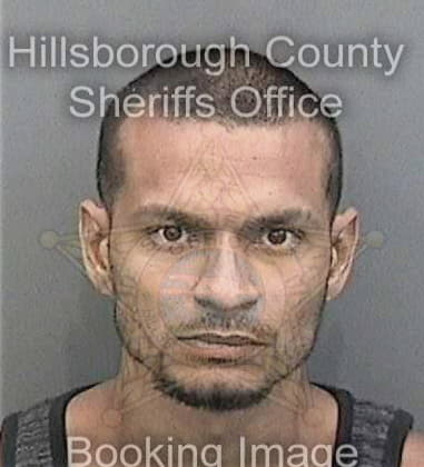 Jose Floresmartinez, - Hillsborough County, FL 