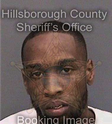 Ecaueshonelesqu McClellan - Hillsborough County, FL 