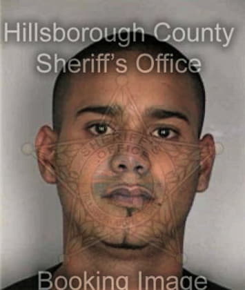 Shaun Meador - Hillsborough County, FL 