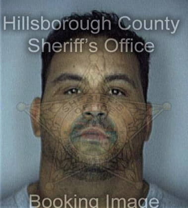 Isaias Mejia - Hillsborough County, FL 