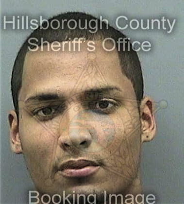 Sigfredo Montoyaperez, - Hillsborough County, FL 