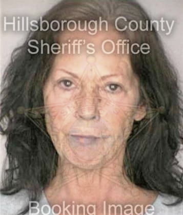 Heidi Snydertyson, - Hillsborough County, FL 