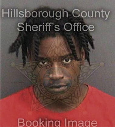 Jimonte Ashley, - Hillsborough County, FL 