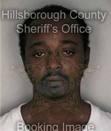Daniel Bellamy - Hillsborough County, FL 
