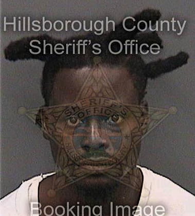 Dawaun Dingle, - Hillsborough County, FL 