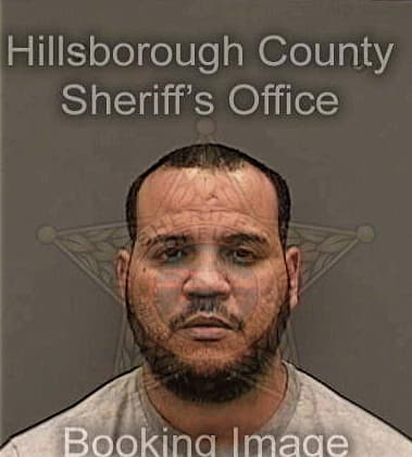 Jose Hernandezorelly - Hillsborough County, FL 