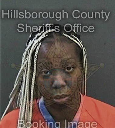 Lameka Lewis, - Hillsborough County, FL 