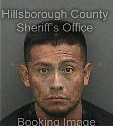 Christopher Smith, - Hillsborough County, FL 