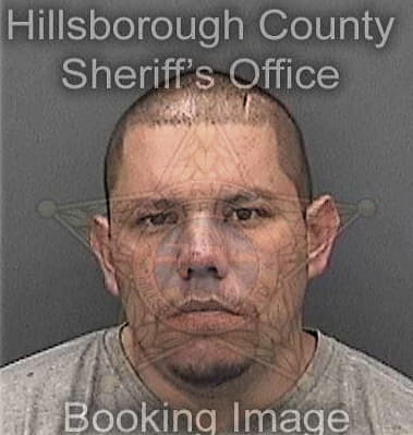 Ryan Tibbetts, - Hillsborough County, FL 