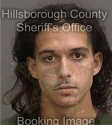 Luis Alvarezoquendo, - Hillsborough County, FL 