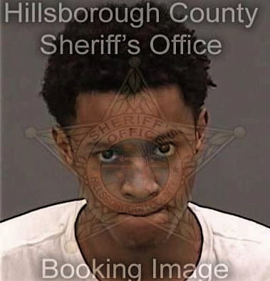 Kervinson Celestin, - Hillsborough County, FL 