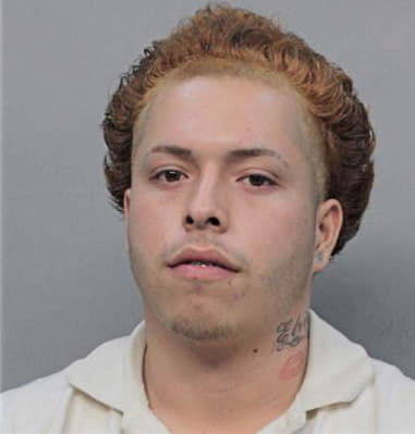 Bryan Duran-Carrio, - Dade County, FL 