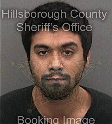 Charles Flint, - Hillsborough County, FL 