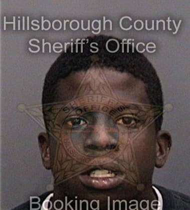 Alexander Singleton, - Hillsborough County, FL 