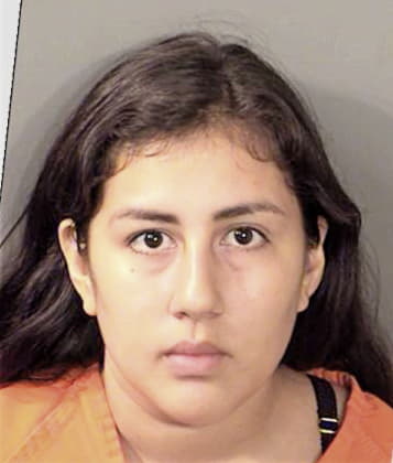 Lisa Torres, - Denton County, TX 