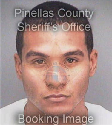 Cosme Castillosanchez, - Pinellas County, FL 