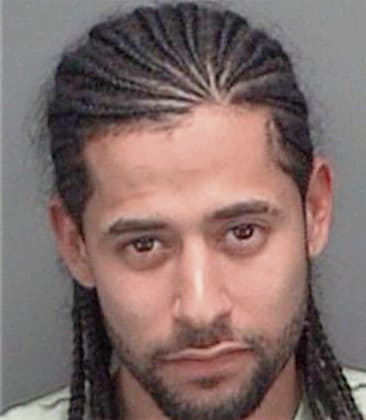 Agustin Gudielmoran, - Pinellas County, FL 