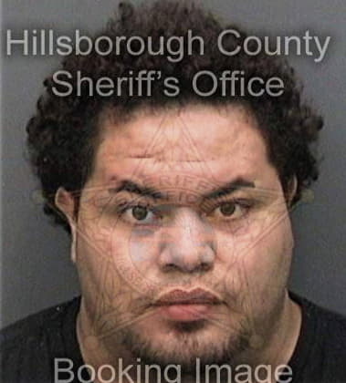 Raudel Hernandezroque - Hillsborough County, FL 