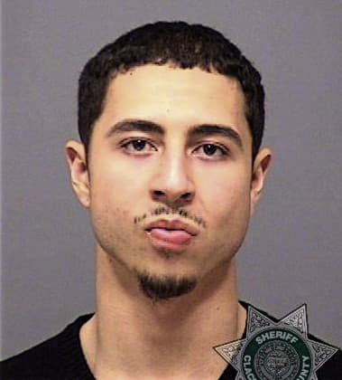 Christopher Palmer, - Clackamas County, OR 