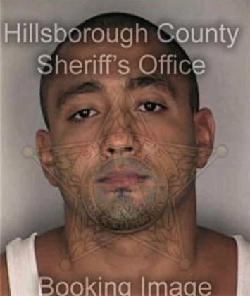 Mario Solano, - Hillsborough County, FL 