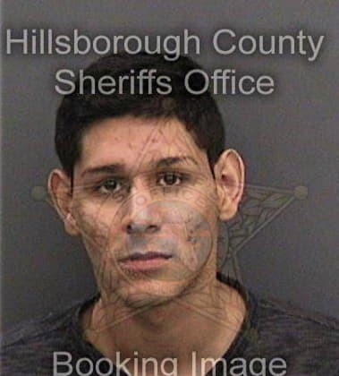 Donald White - Hillsborough County, FL 