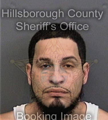 Tommy Williams, - Hillsborough County, FL 