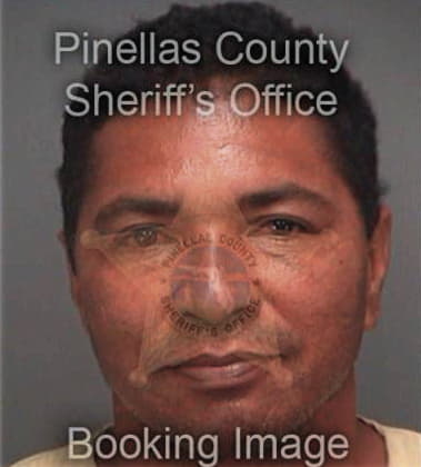 Santos Arriolamurillo, - Pinellas County, FL 