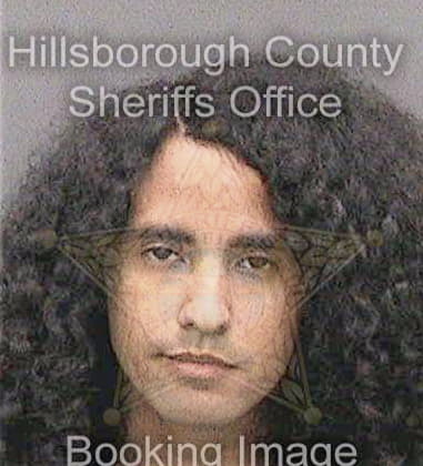 Enrique Betancourtpamies - Hillsborough County, FL 