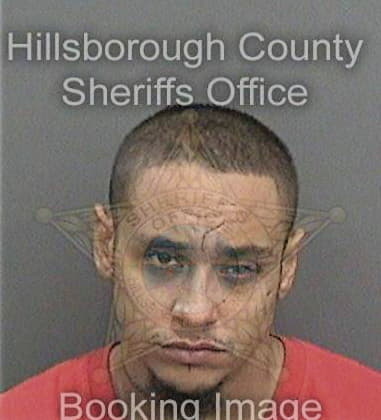 Edward Flores, - Hillsborough County, FL 